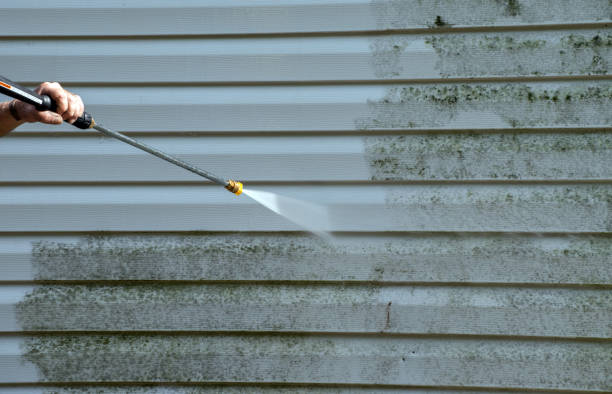 Best Window and Screen Pressure Cleaning in Bon Air, VA